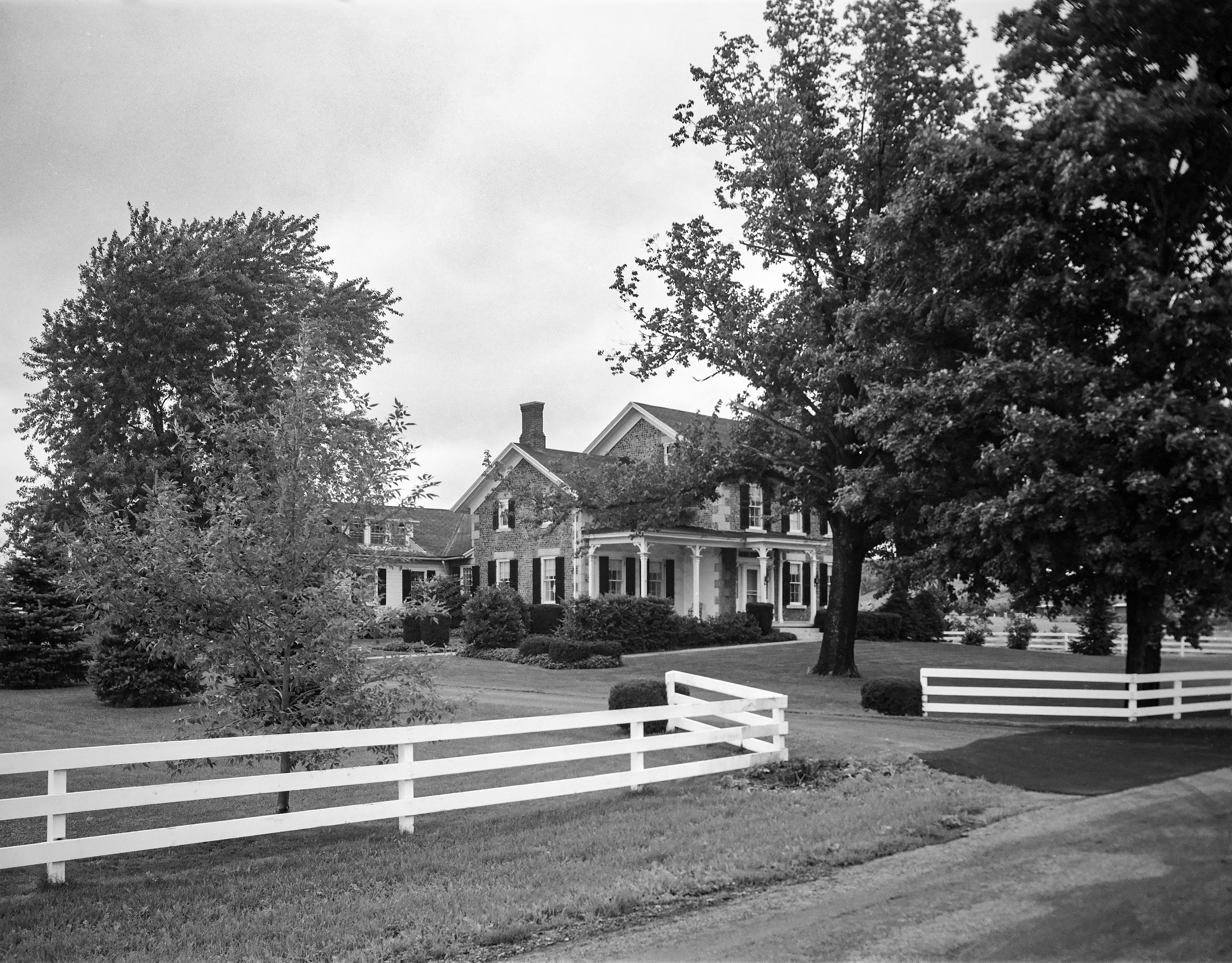 GP Wayne Macedon Mac-4 1-1 N